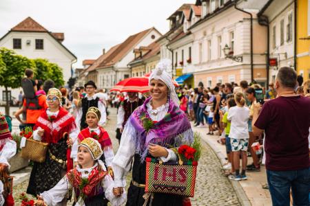 Povorka ob dnevih narodnih noš in oblačilne dedščine (96)